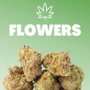 Fleurs de THC France