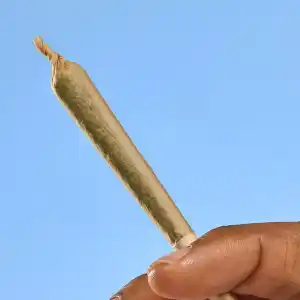 Pré-rolls THC France