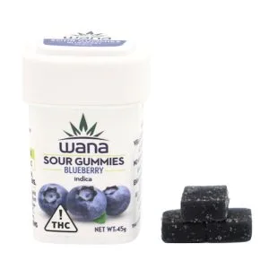 Blueberry Gummies 10pk [100mg]