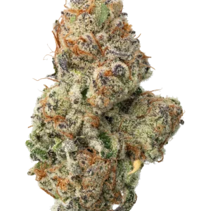 White Widow