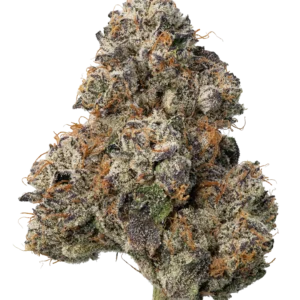 Lemon Cherry Gelato