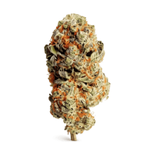 Cheddar Cheese