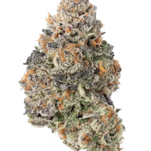 Gorilla Cookies