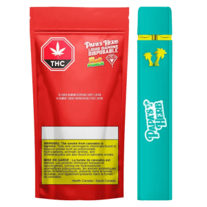 Fruit Punch Vape France Jetable