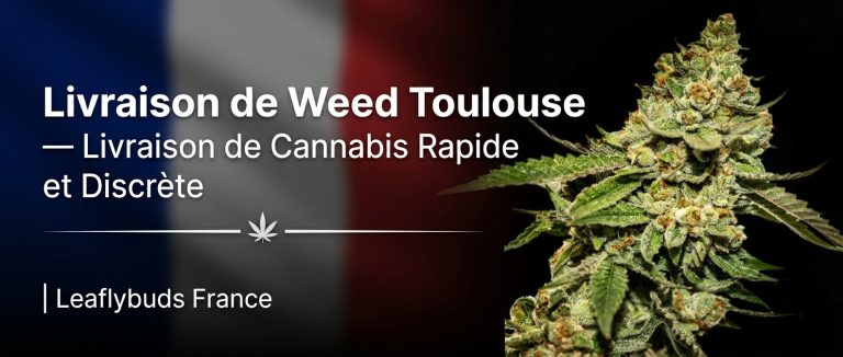 Livraison de Weed Toulouse — Livraison de Cannabis Rapide et Discrète | Leaflybuds France