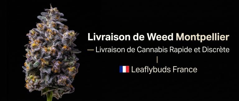 Livraison de Weed Montpellier — Livraison de Cannabis Rapide et Discrète | Leaflybuds France
