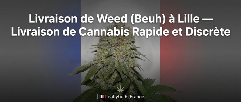 Livraison de Weed (Beuh) à Lille — Livraison de Cannabis Rapide et Discrète | Leaflybuds France