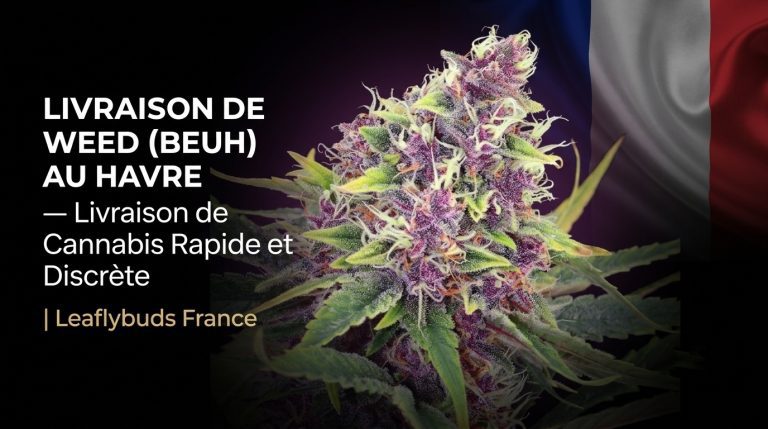 Livraison de Weed (Beuh) au Havre — Livraison de Cannabis Rapide et Discrète | Leaflybuds France