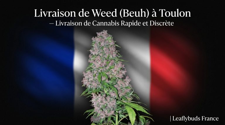 Livraison de Weed (Beuh) à Toulon — Livraison de Cannabis Rapide et Discrète | Leaflybuds France