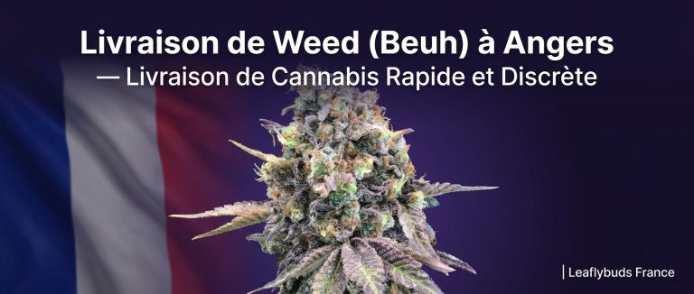 Livraison de Weed (Beuh) à Angers — Livraison de Cannabis Rapide et Discrète | Leaflybuds France