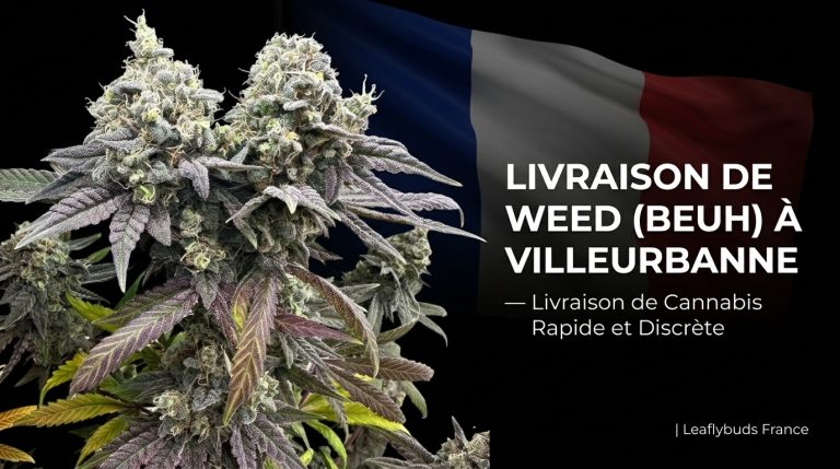 Livraison de Weed (Beuh) à Villeurbanne — Livraison de Cannabis Rapide et Discrète | Leaflybuds France