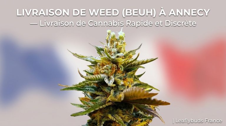 Livraison de Weed (Beuh) à Annecy — Livraison de Cannabis Rapide et Discrète | Leaflybuds France