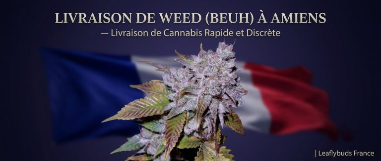 Livraison de Weed (Beuh) à Amiens — Livraison de Cannabis Rapide et Discrète | Leaflybuds France