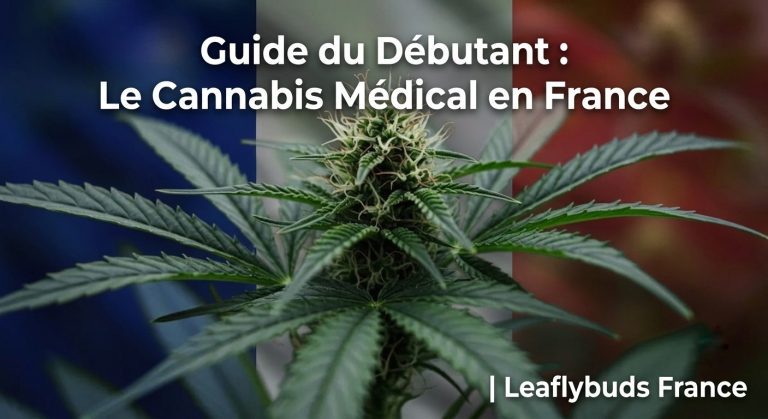 Guide du Débutant : Le Cannabis Médical en France | Leaflybuds France