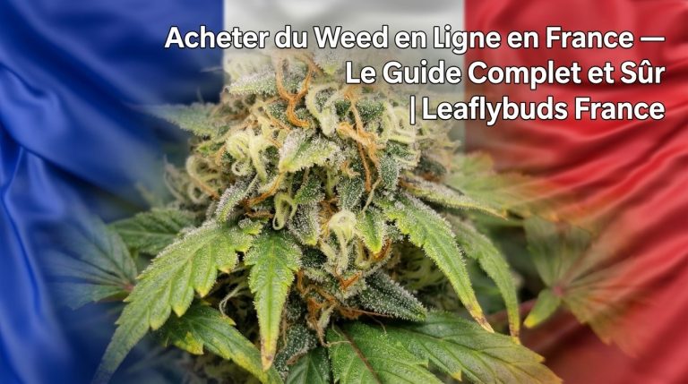 Acheter du Weed en Ligne en France — Le Guide Complet et Sûr | Leaflybuds France