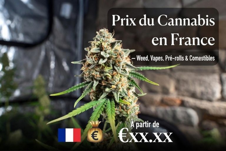 Prix du Cannabis en France — Weed, Vapes, Pré-rolls & Comestibles | Leaflybuds France