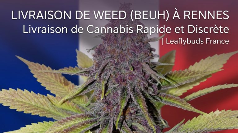 Livraison de Weed (Beuh) à Rennes — Livraison de Cannabis Rapide et Discrète | Leaflybuds France