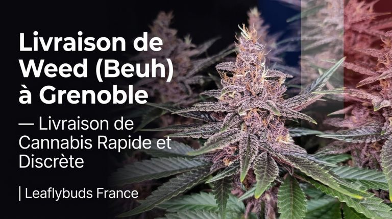 Livraison de Weed (Beuh) à Grenoble — Livraison de Cannabis Rapide et Discrète | Leaflybuds France