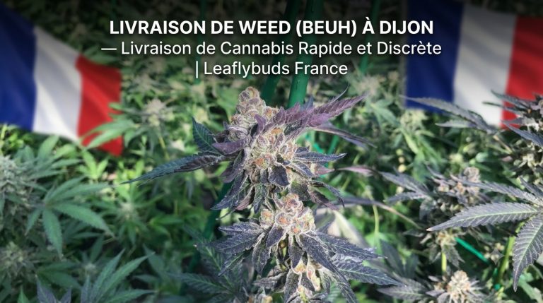 Livraison de Weed (Beuh) à Dijon — Livraison de Cannabis Rapide et Discrète | Leaflybuds France
