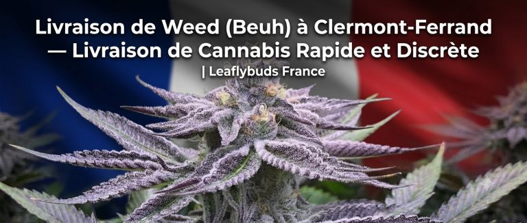 Livraison de Weed (Beuh) à Clermont-Ferrand — Livraison de Cannabis Rapide et Discrète | Leaflybuds France