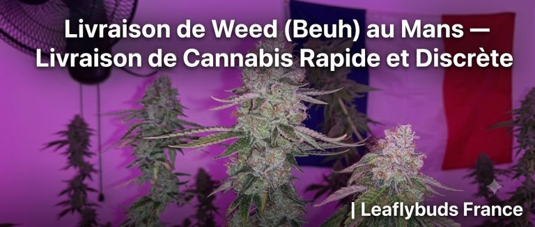 Livraison de Weed (Beuh) au Mans — Livraison de Cannabis Rapide et Discrète | Leaflybuds France