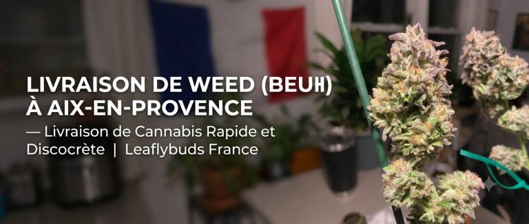 Livraison de Weed (Beuh) à Aix-en-Provence — Livraison de Cannabis Rapide et Discrète | Leaflybuds France