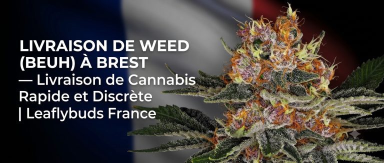 Livraison de Weed (Beuh) à Brest — Livraison de Cannabis Rapide et Discrète | Leaflybuds France