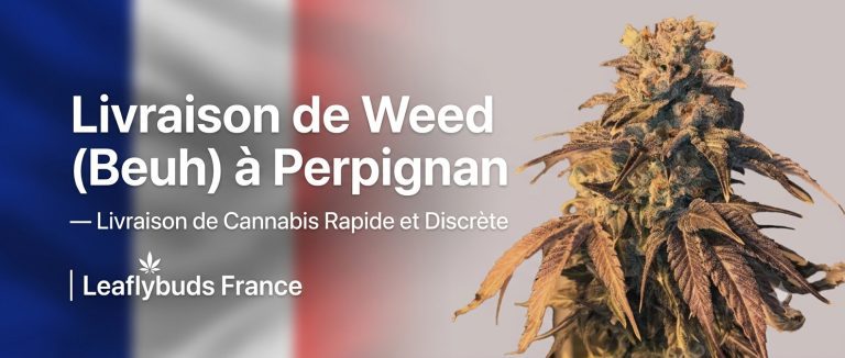 Livraison de Weed (Beuh) à Perpignan — Livraison de Cannabis Rapide et Discrète | Leaflybuds France