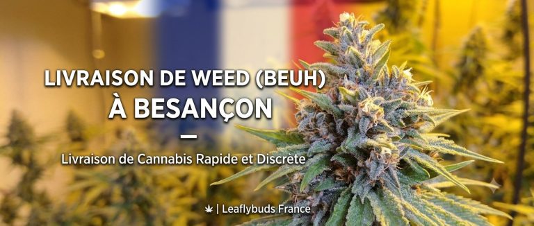 Livraison de Weed (Beuh) à Besançon — Livraison de Cannabis Rapide et Discrète | Leaflybuds France