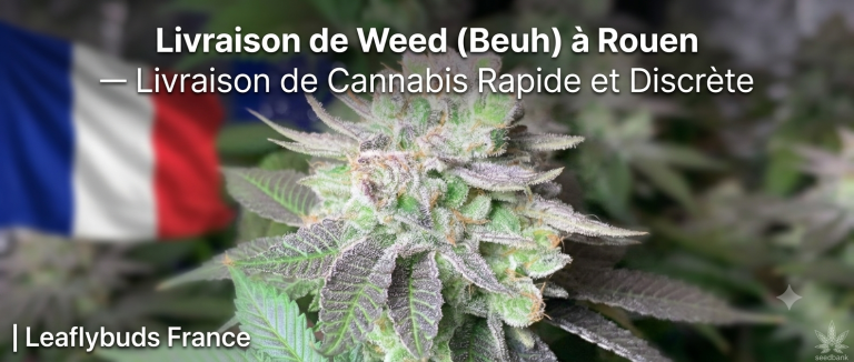 Livraison de Weed (Beuh) à Rouen — Livraison de Cannabis Rapide et Discrète | Leaflybuds France