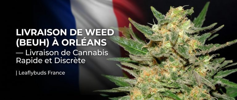 Livraison de Weed (Beuh) à Orléans — Livraison de Cannabis Rapide et Discrète | Leaflybuds France