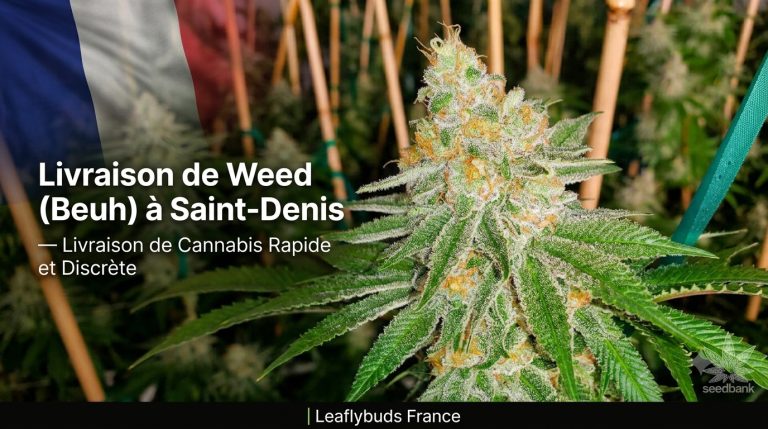 Livraison de Weed (Beuh) à Saint-Denis — Livraison de Cannabis Rapide et Discrète | Leaflybuds France