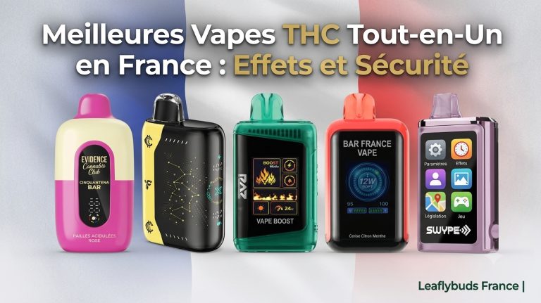 Meilleures Vapes THC Tout-en-Un en France : Effets et Sécurité | Leaflybuds France