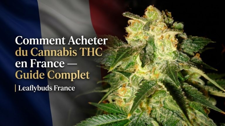 Comment Acheter du Cannabis THC en France — Guide Complet | Leaflybuds France