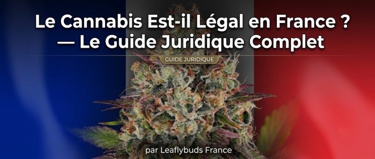 Le Cannabis Est-il Légal en France ? — Le Guide Juridique Complet