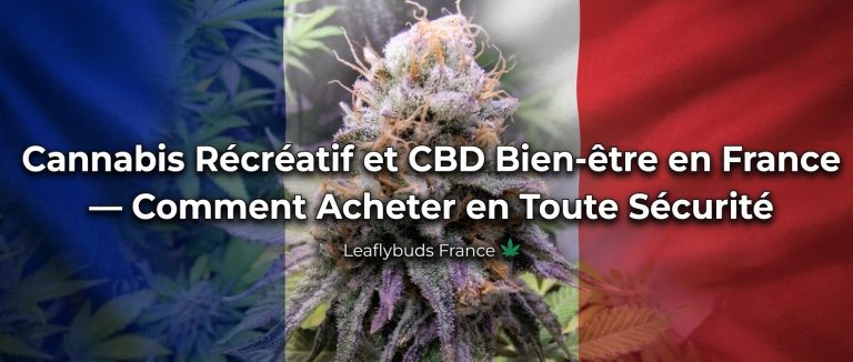 Cannabis Récréatif et CBD Bien-être en France — Comment Acheter en Toute Sécurité | Leaflybuds France