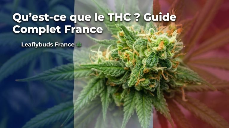 Qu'est-ce que le THC ? Guide Complet France
