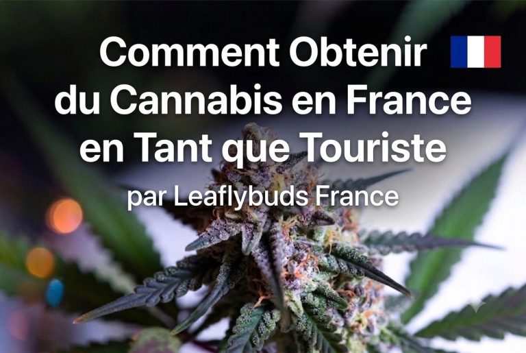 Comment Obtenir du Cannabis en France en Tant que Touriste — Guide Légalité & Sécurité